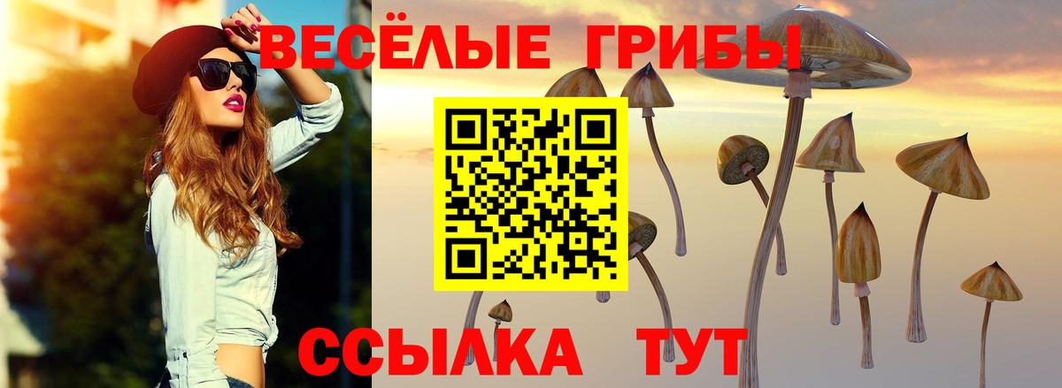 Псилоцибиновые грибы ЛСД  Галлюциногенные грибы мухоморы  купить  сайты  Будённовск  Вход с VPN 